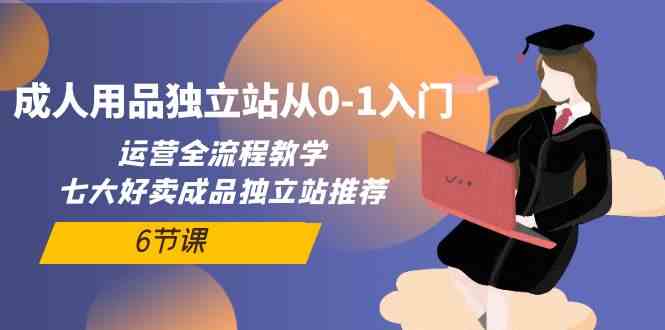 成人用品独立站从0-1入门，运营全流程教学，七大好卖成品独立站推荐（6节课）-主题库网创