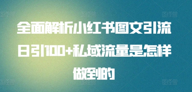 全面解析小红书图文引流日引100+私域流量是怎样做到的-主题库网创