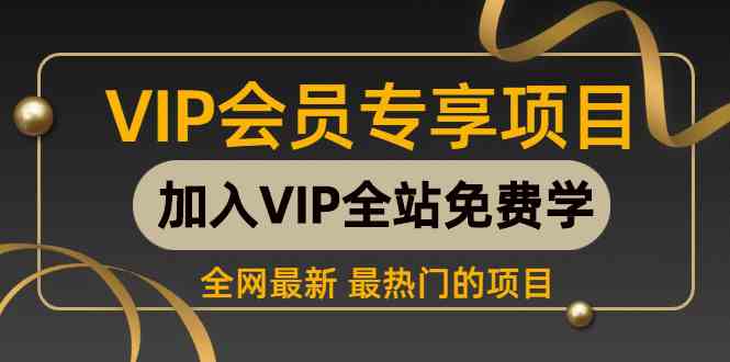 （9651期） 2024视频号最新撸收益技术，爆火赛道起号玩法，收益稳定，单日1000+-主题库网创