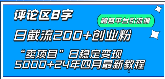 抖音评论区8字日截流200+创业粉 “卖项目”日稳定变现5000+-主题库网创