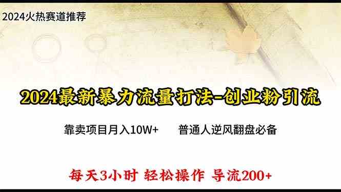 （10151期）2024年最新暴力流量打法，每日导入300+，靠卖项目月入10W+-主题库网创