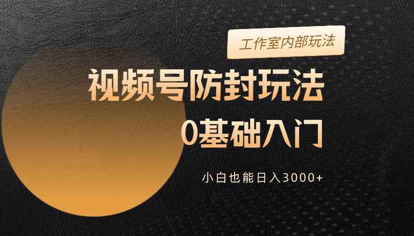 （10107期）2024视频号升级防封玩法，零基础入门，小白也能日入3000+-主题库网创