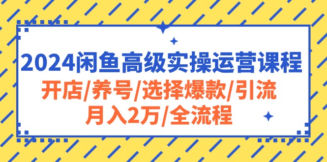 （10711期）2024闲鱼高级实操运营课程：开店/养号/选择爆款/引流/月入2万/全流程-主题库网创