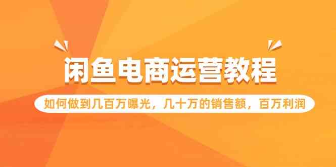 （9560期）闲鱼电商运营教程：如何做到几百万曝光，几十万的销售额，百万利润.-主题库网创