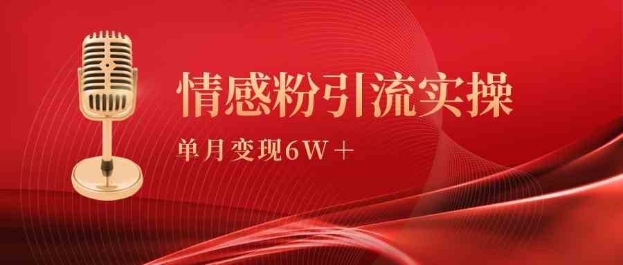 （9473期）单月变现6w+，情感粉引流变现实操课-主题库网创