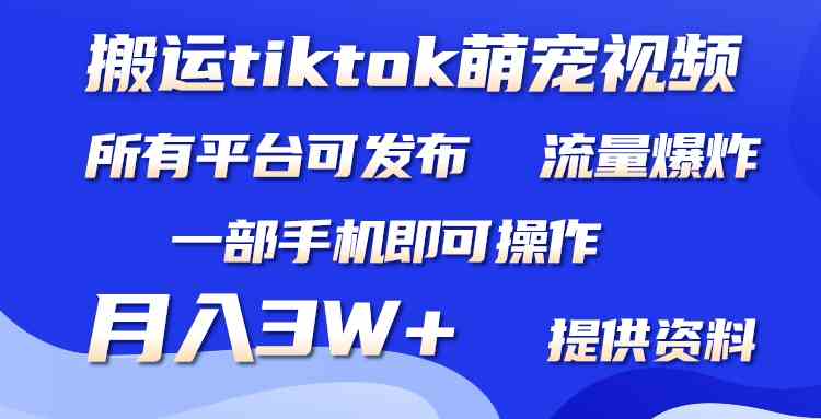 （9618期）搬运Tiktok萌宠类视频，一部手机即可。所有短视频平台均可操作，月入3W+-主题库网创