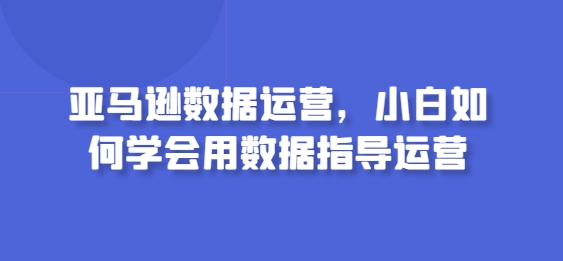 亚马逊数据运营，小白如何学会用数据指导运营-主题库网创