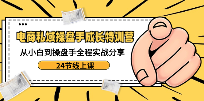 电商私域-操盘手成长特训营：从小白到操盘手全程实战分享-24节线上课-主题库网创