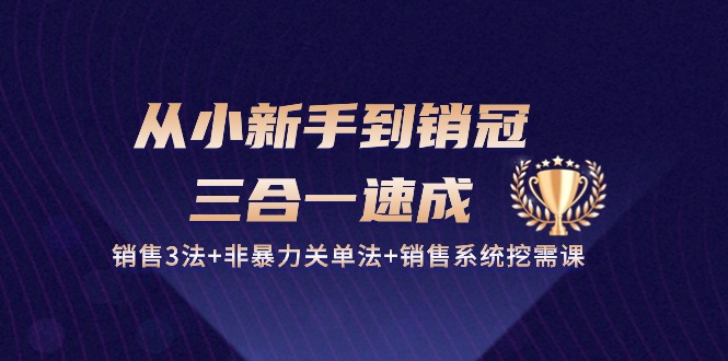 （10799期）从小新手到销冠 三合一速成：销售3法+非暴力关单法+销售系统挖需课 (27节)-主题库网创