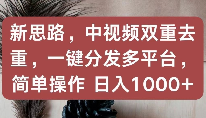 新思路，中视频双重去重，一键分发多平台，简单操作，日入1000+-主题库网创