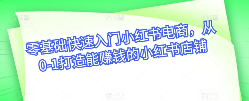 零基础快速入门小红书电商，从0-1打造能赚钱的小红书店铺-主题库网创