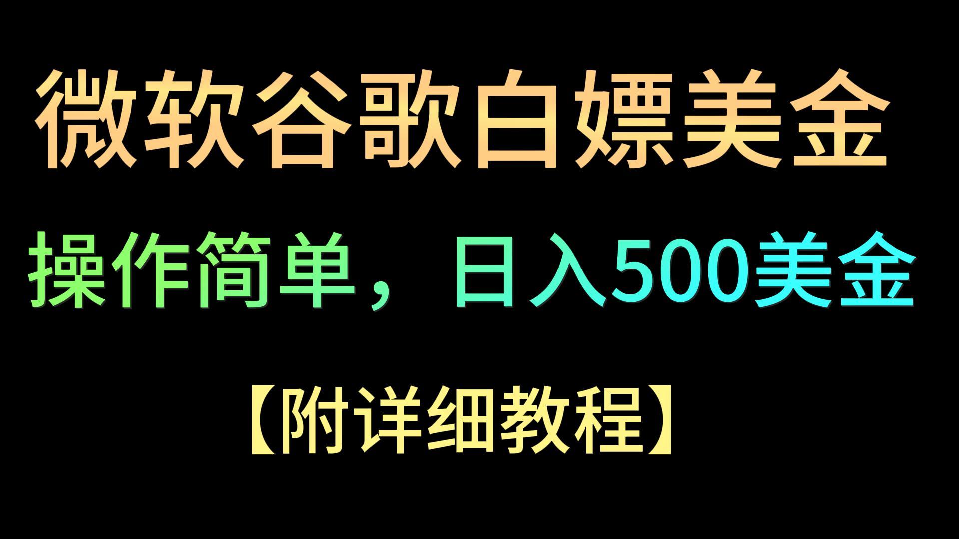 微软谷歌项目3.0，轻松日赚500+美金，操作简单，小白也可轻松入手！-主题库网创