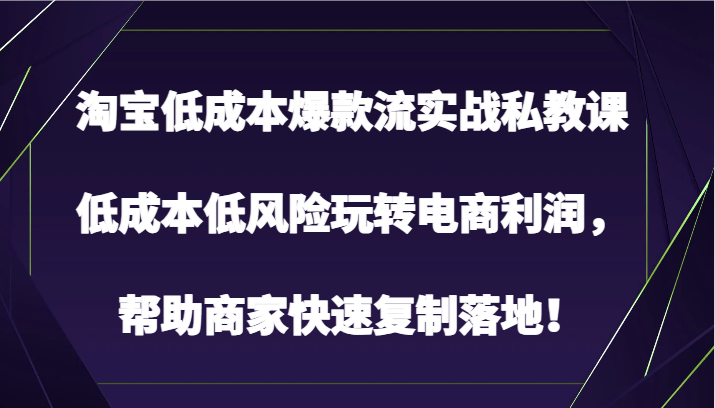 淘宝低成本爆款流实战私教课，低成本低风险玩转电商利润，帮助商家快速复制落地！-主题库网创