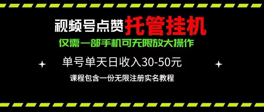 （10644期）视频号点赞托管挂机，单号单天利润30~50，一部手机无限放大（附带无限…-主题库网创