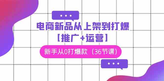 （9286期）电商 新品从上架到打爆【推广+运营】，新手从0打爆款（36节课）-主题库网创