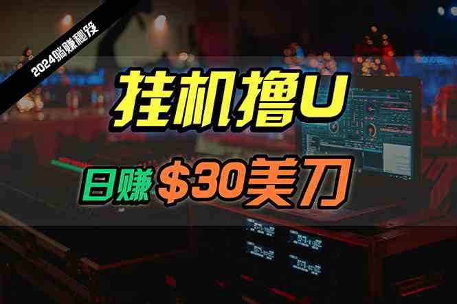 （10013期）日赚30美刀，2024最新海外挂机撸U内部项目，全程无人值守，可批量放大-主题库网创