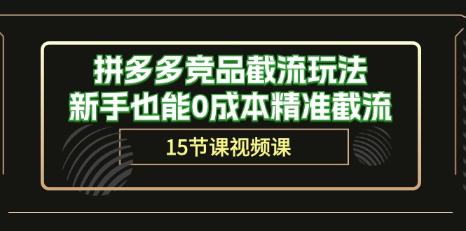 （10301期）拼多多竞品截流玩法，新手也能0成本精准截流（15节课）-主题库网创