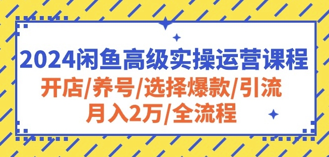 2024闲鱼高级实操运营课程：开店/养号/选择爆款/引流/月入2万/全流程-主题库网创