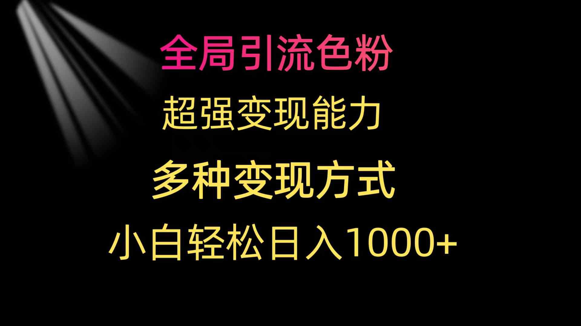 （9680期）全局引流色粉 超强变现能力 多种变现方式 小白轻松日入1000+-主题库网创