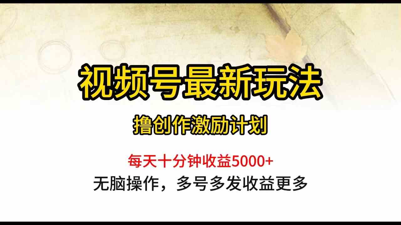 （10087期）视频号最新玩法，每日一小时月入5000+-主题库网创