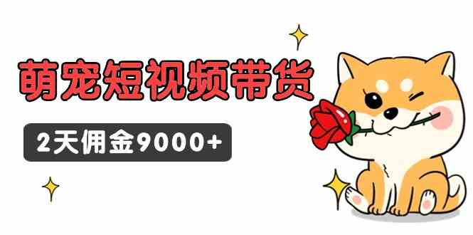 （9273期）东哲日记·萌宠短视频带货，2天佣金9000+-主题库网创