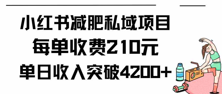 （9466期）小红书减肥私域项目每单收费210元单日成交20单，最高日入4200+-主题库网创