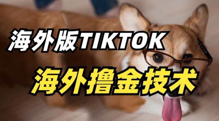 抖音海外版tiktok撸金技术，这个风口行业，赚钱真的不难-主题库网创