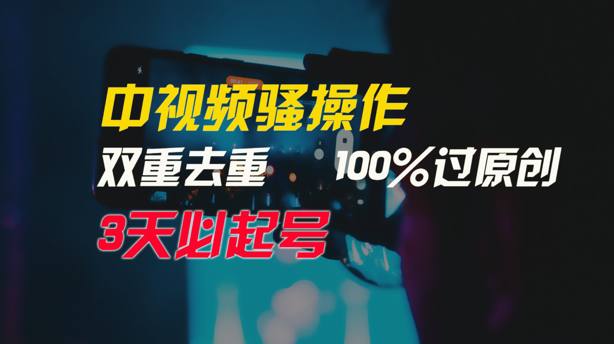 中视频骚操作，双重去重100%过原创，3天比必起号，简单无脑，月入3W+-主题库网创