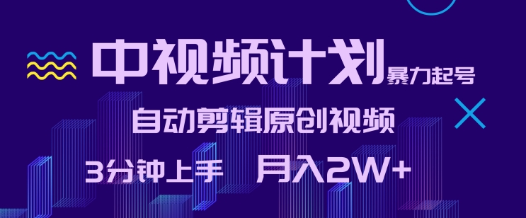 中视频计划暴力起号，自动剪辑原创视频，3分钟上手，月入2W+-主题库网创