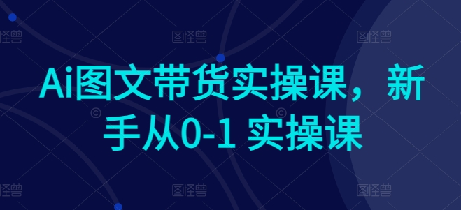 Ai图文带货实操课，新手从0-1 实操课-主题库网创