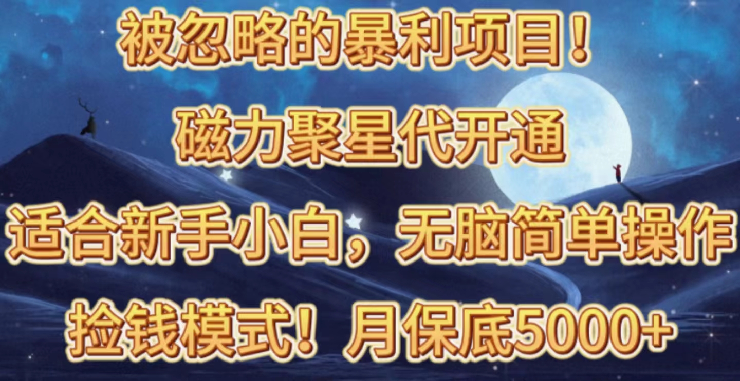 （10245期）被忽略的暴利项目！磁力聚星代开通捡钱模式，轻松月入五六千-主题库网创