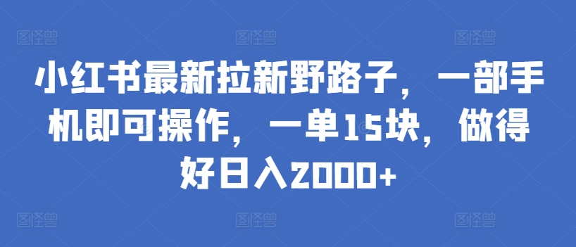 小红书最新拉新野路子，一部手机即可操作，一单15块，做得好日入2000+-主题库网创