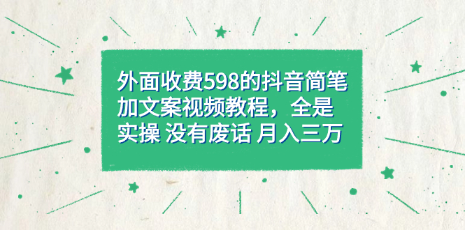 外面收费598抖音简笔加文案教程，全是实操 没有废话 月入三万（教程+资料）-主题库网创