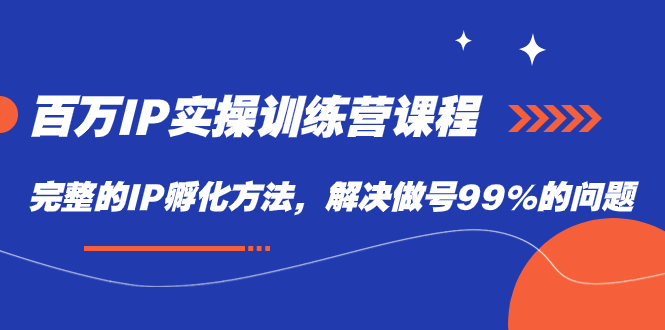 百万IP实战训练营课程，完整的IP孵化方法，解决做号99%的问题-主题库网创