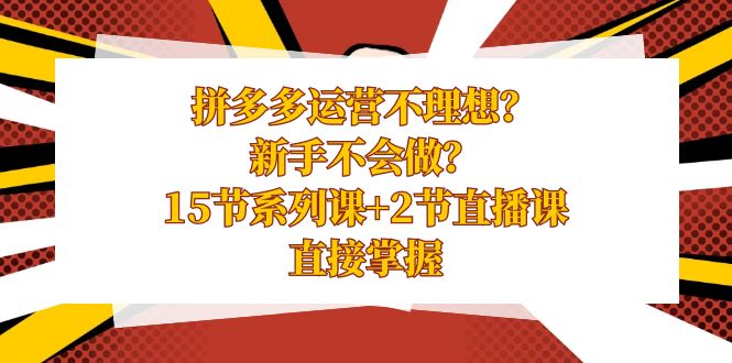 拼多多运营不理想？新手不会做？15节系列课+2节直播课，直接掌握-主题库网创