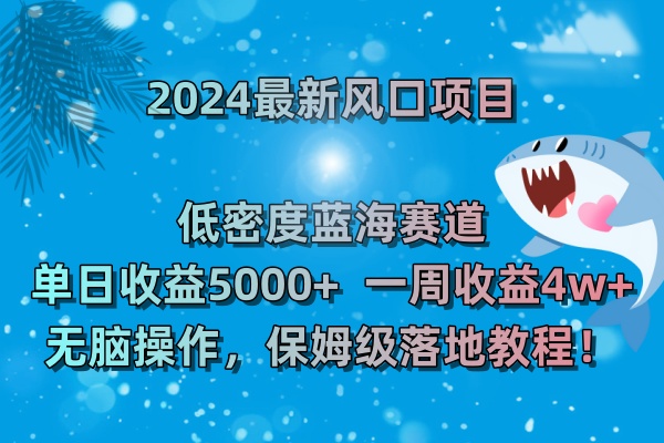 2024最新风口项目 低密度蓝海赛道，日收益5000+周收益4w+ 无脑操作-主题库网创