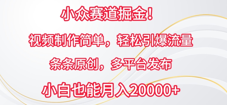 小众赛道掘金，视频制作简单，轻松引爆流量，条条原创，多平台发布-主题库网创