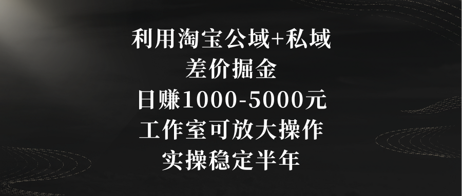 利用淘宝公域+私域差价掘金，日赚1000-5000元，工作室可放大操作，实操…-主题库网创