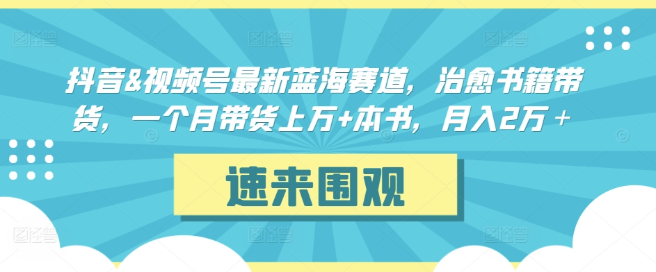 抖音&视频号最新蓝海赛道，治愈书籍带货，一个月带货上万+本书，月入2万＋-主题库网创