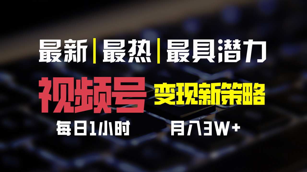 视频号变现新策略，每日一小时月入30000+-主题库网创