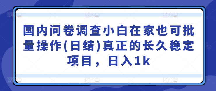 国内问卷调查小白在家也可批量操作(日结)真正的长久稳定项目，日入1k【揭秘】-主题库网创