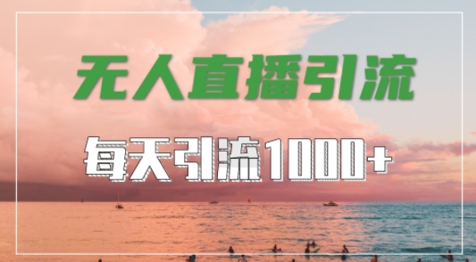 抖音快手视频号全平台通用，无人直播引流法，超暴力引流1000+高质量精准创业粉【揭秘】-主题库网创