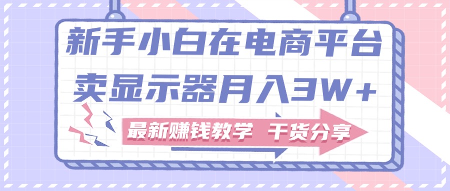 新手小白如何做到在电商平台卖显示器月入3W，最新赚钱教学干货-主题库网创