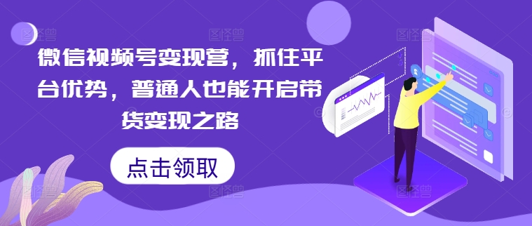 微信视频号变现营，抓住平台优势，普通人也能开启带货变现之路-主题库网创